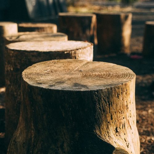 brown wooden log in close up photography