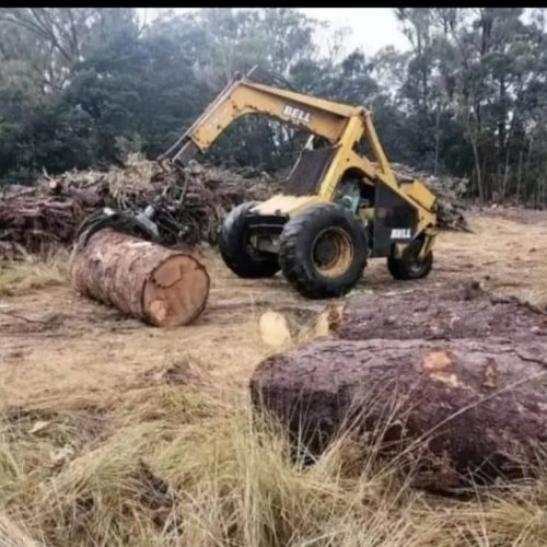 plot clearing services port elizabeth (2)